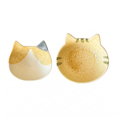 Kitten dipping saucer