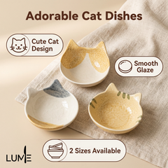 Kitten dipping saucer